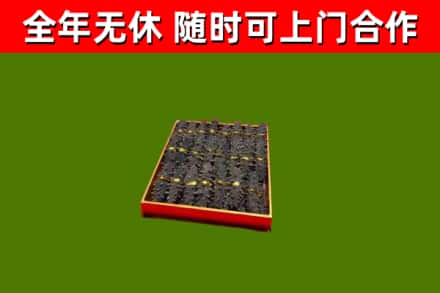 日喀则回收海参